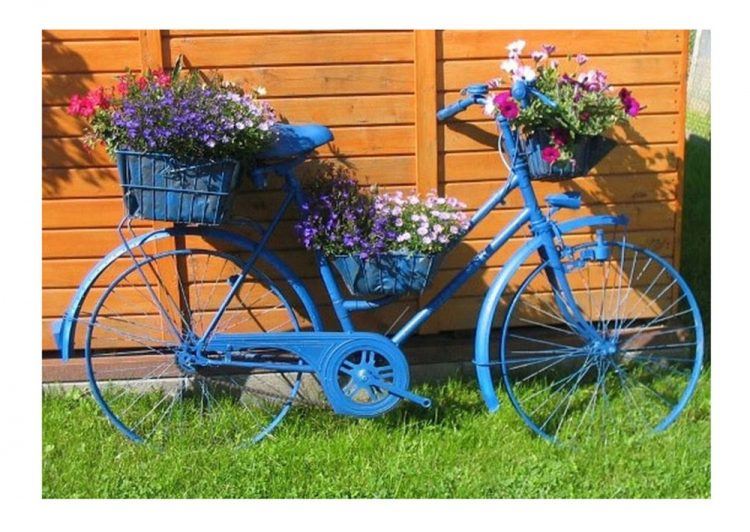 flower bed made in old blue bike