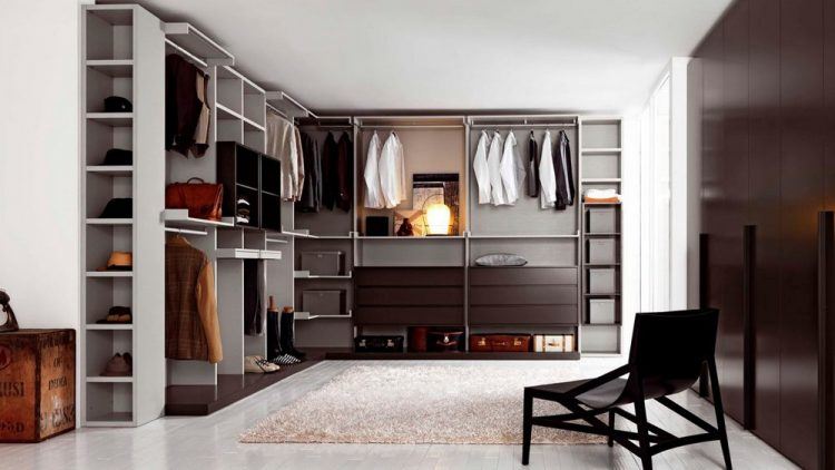 closet with dressing room space