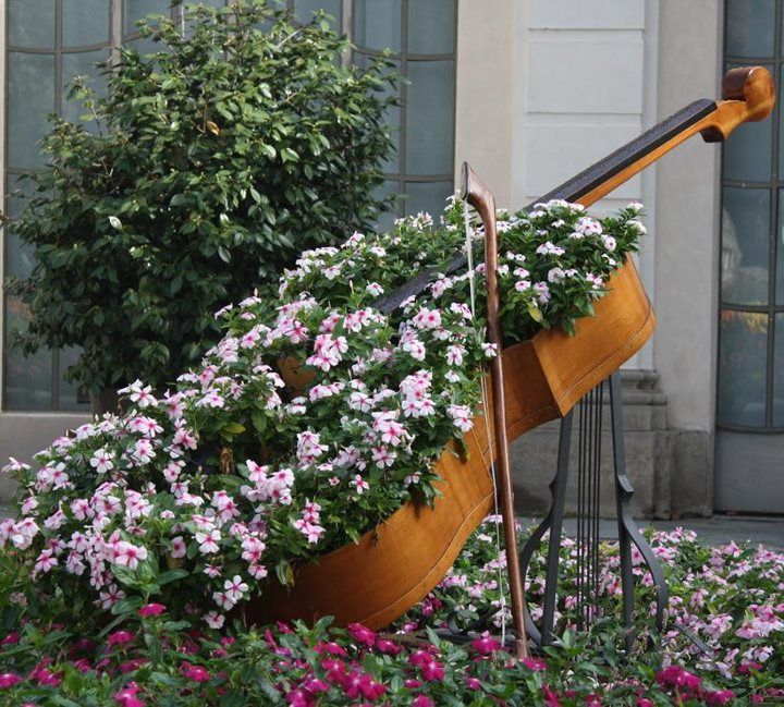 flower bed made in old guitar