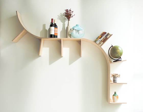 curved creative shelving ideas