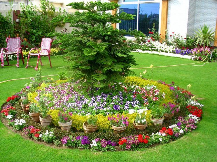 colorful circular flower bed