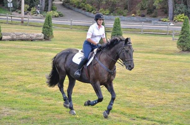 bergen-equestrian-center