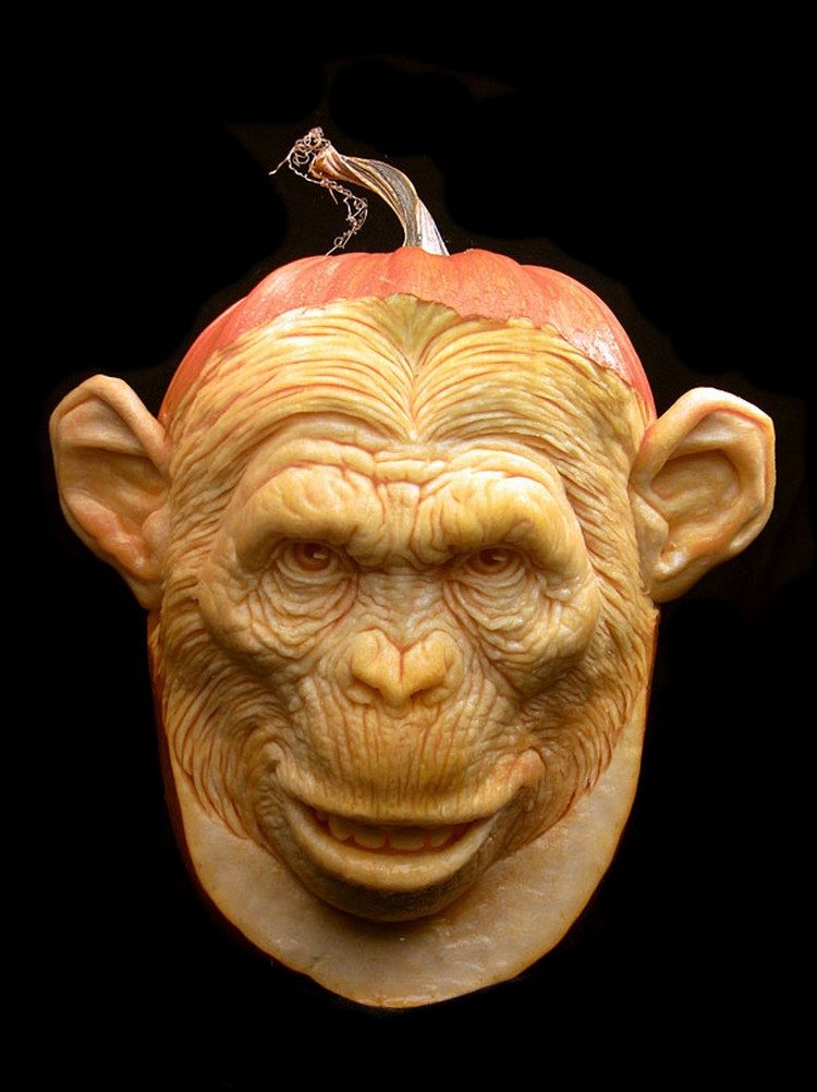 chimpanzee-pumpkin-carving