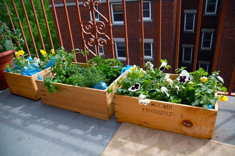 flower bed made into wooden box