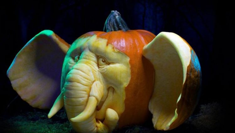 elephant-pumpkin-carving