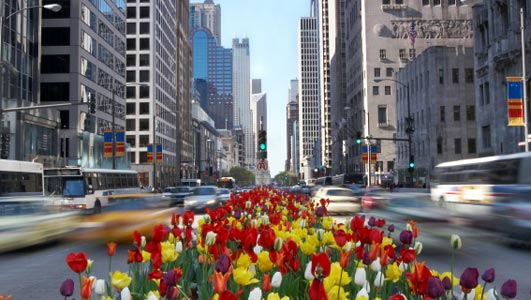 magnificent-mile