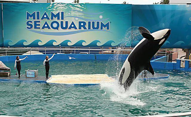 miami-seaquarium