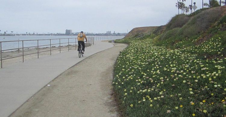 mission-bay-bike-path