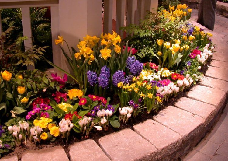 nice flower bed for front of house