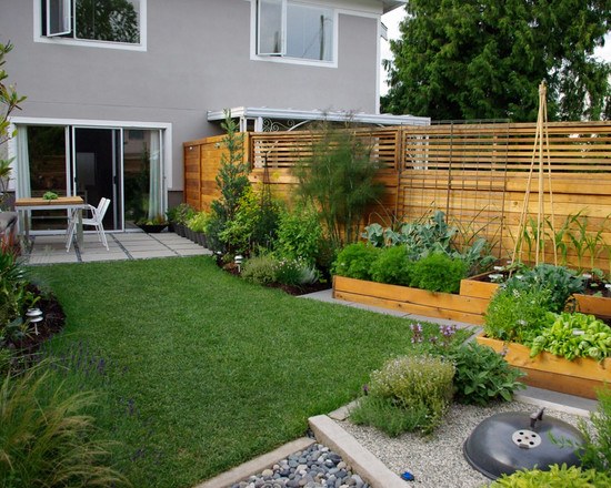 small garden with wooden fence