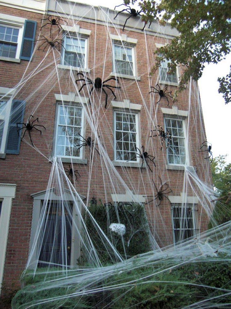 the-spider-house