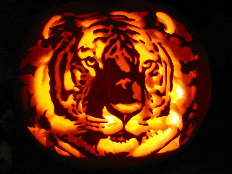 tiger-pumpkin-carving