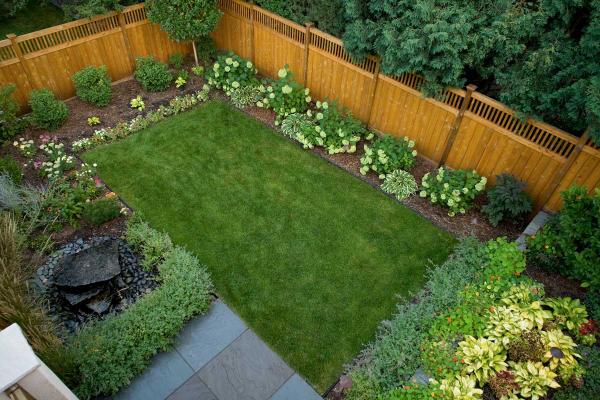 simple small backyard design with grass