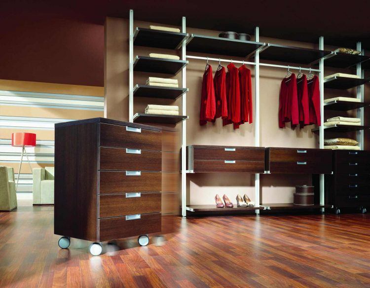 walk in closet with wood floors