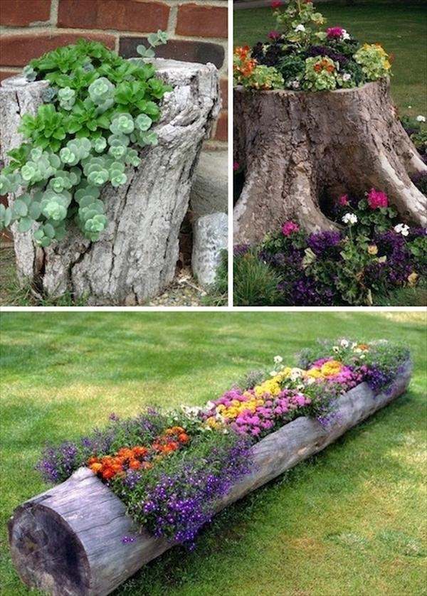 homemade flower bed in tree trunk