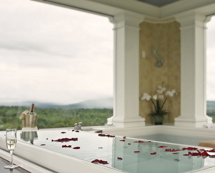 infinity bath tub with a beautiful view