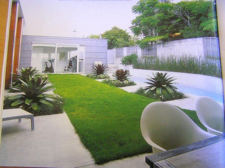 modern small backyard landscape with plants