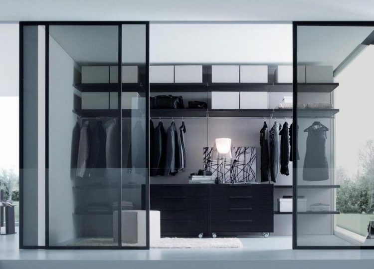 walk in closet with sliding glass door