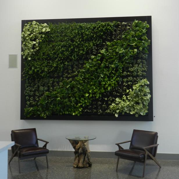 living green wall in sitting area