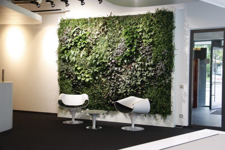 large living wall and white chairs