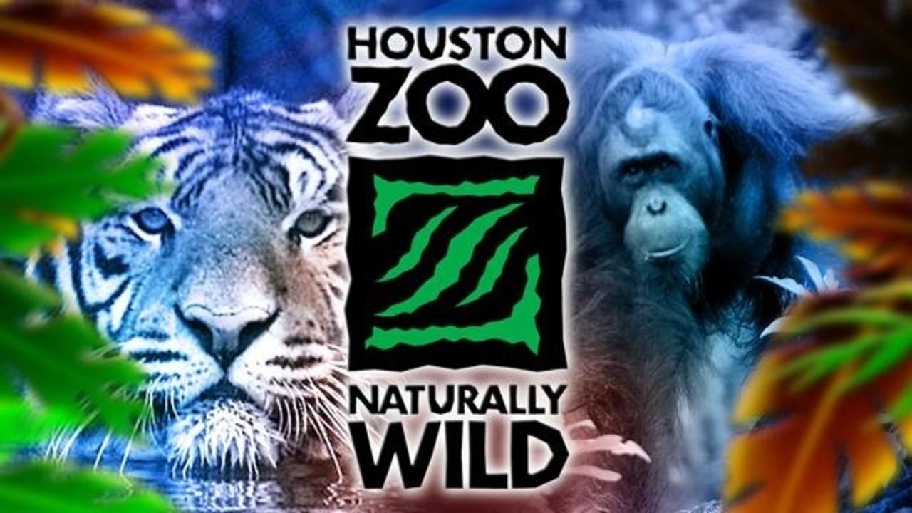 houston zoo discount code