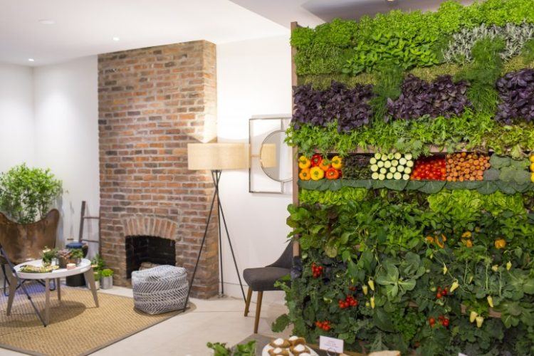 home with bright living wall