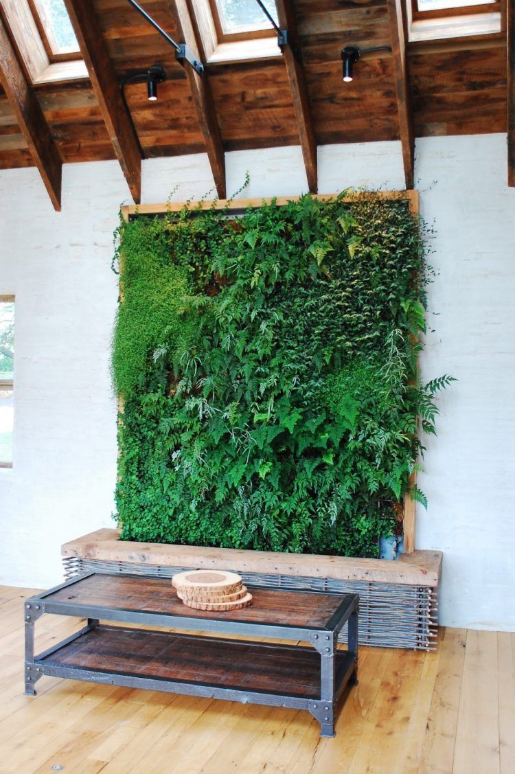 green wall area in living room