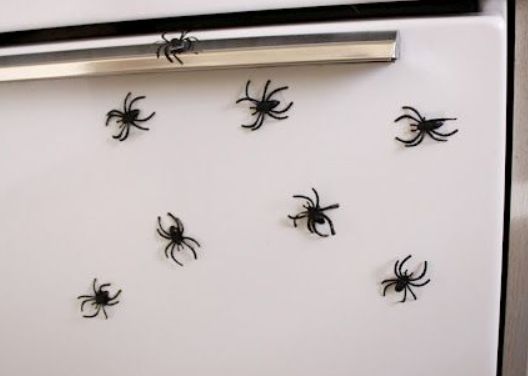 spider-magnets