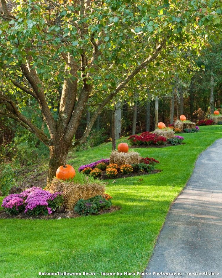 fall themed halloween yard