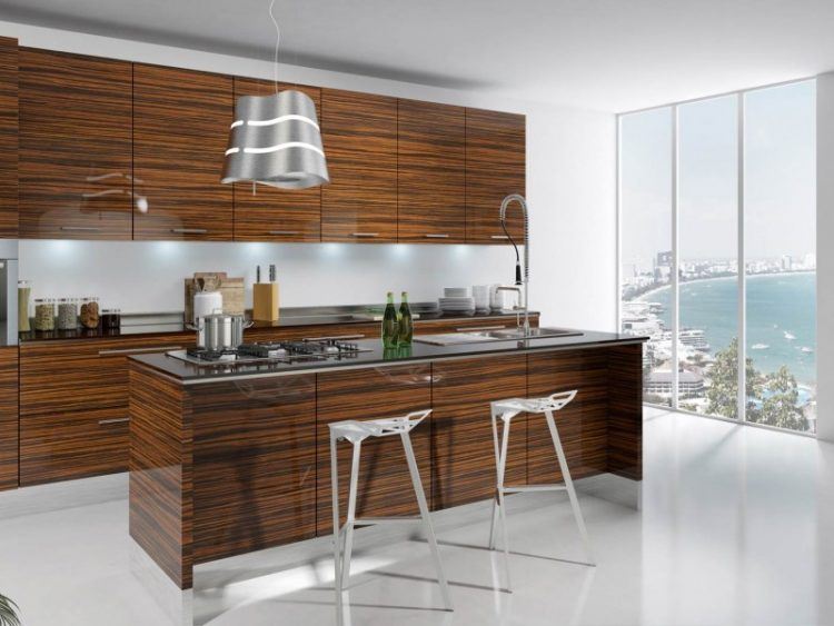 sleek modern kitchen with wooden cabinets