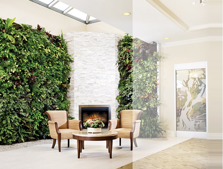 living room with gorgeous green wall