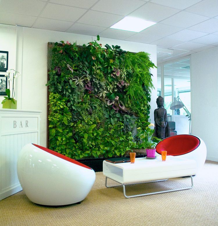 bright living room with green wall