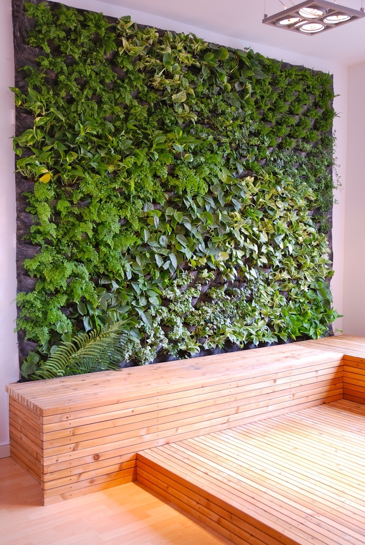 trendy indoor green living wall