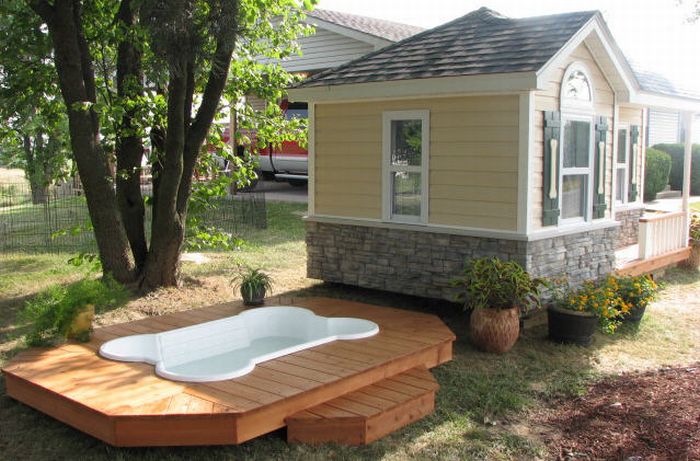 dog-house-with-pool