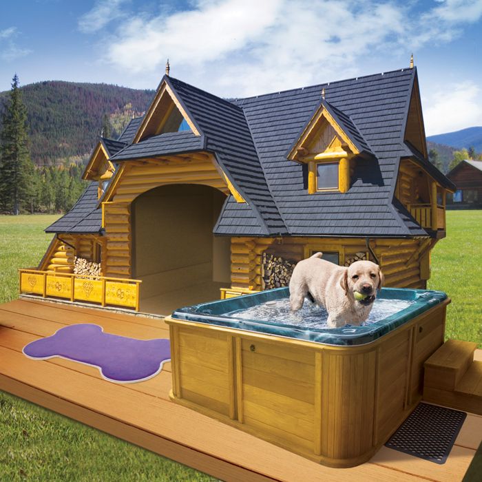 The Most Expensive Dog House In The World