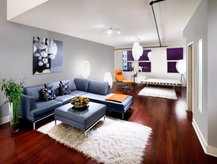 modern living room with rug