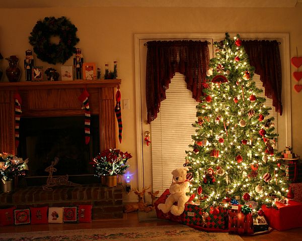 large christmas tree with lights