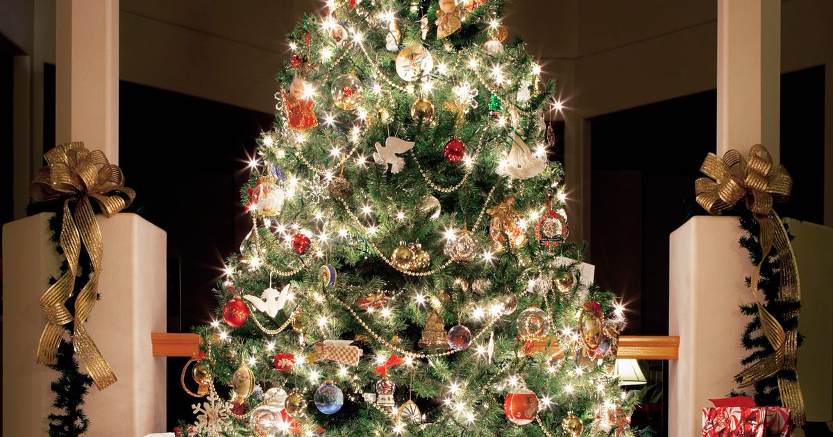 20 Of The Most Beautifully Decorated Christmas  Trees