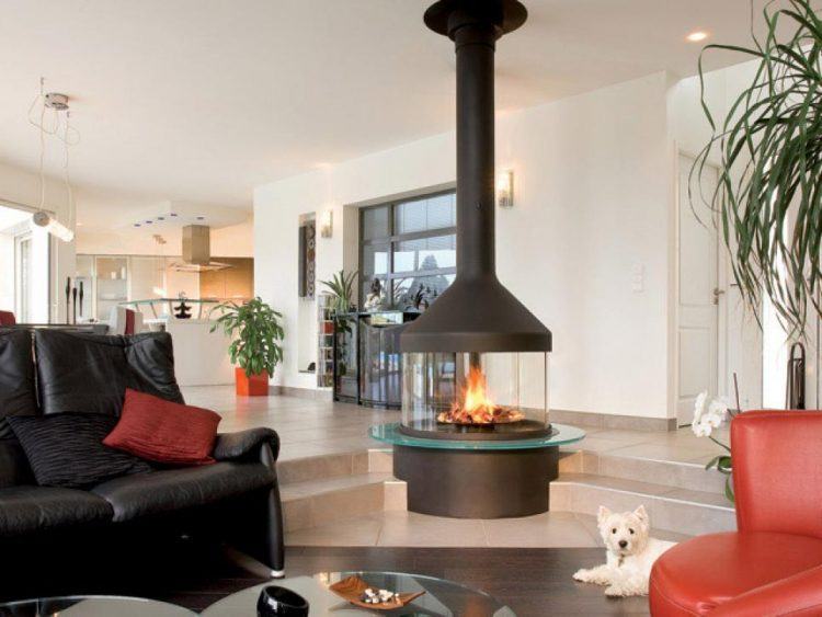 modern-fireplace-pet-in-room