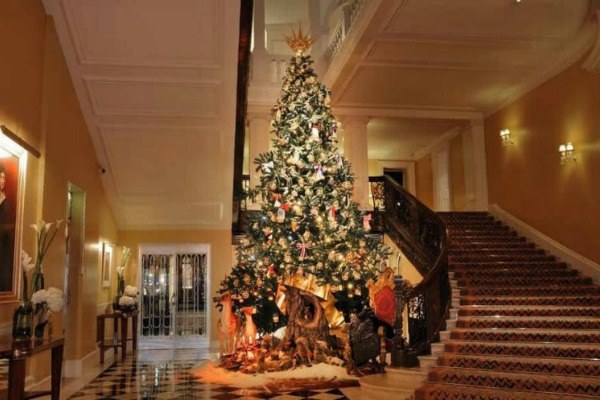 lavish christmas tree with lights