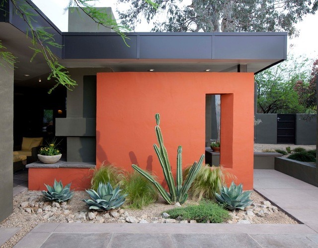 desert landscape with red wall