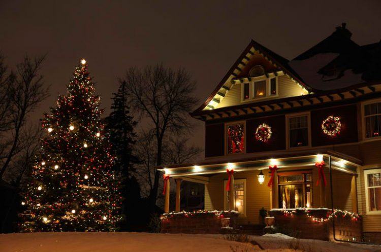 large outdoor Christmas tree for home