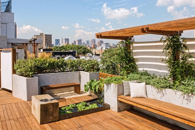 rooftop garden with wooden bench