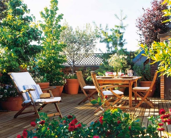 beautiful and colorful rooftop garden