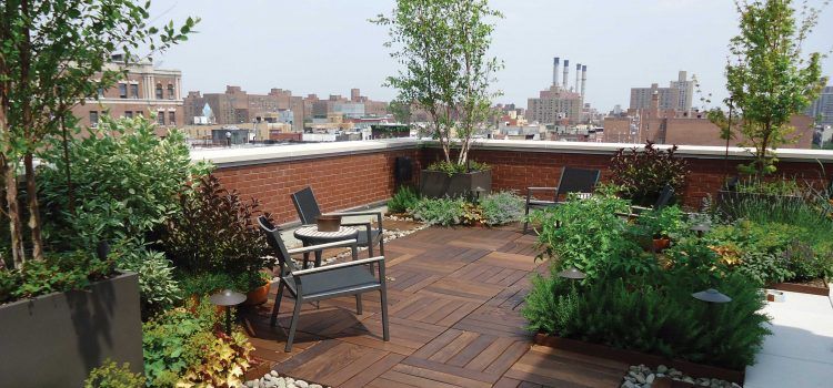 rooftop garden with wood flooring