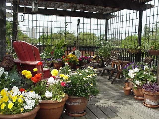 stylish and classy roof garden