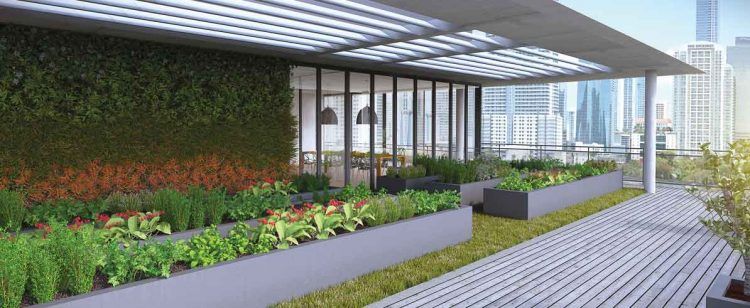 covered rooftop garden