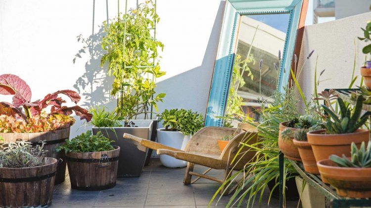 rooftop garden with cool accessories