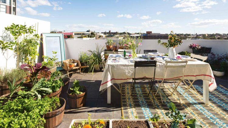 beautiful rooftop garden with dining space