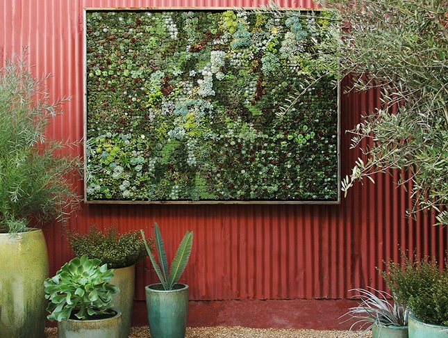 hanging wall with plants